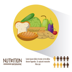 Nutrition and food infographic with statistics and elements vector illustration graphic design