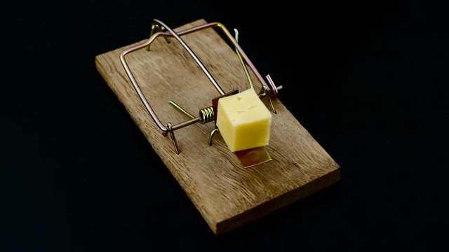 Isolated mouse trap with cheese on the black background