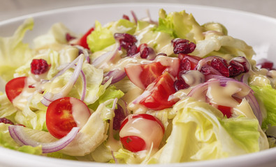 Fresh salad with lettuce, cherry tomato and cranberries
