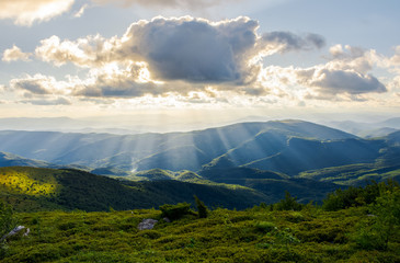 Obraz premium beautiful mountainous summer landscape. sun ray fall on hillside. sun behind the cloud. lovely scenery in afternoon