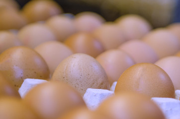 chicken eggs in trays on the counter in the market