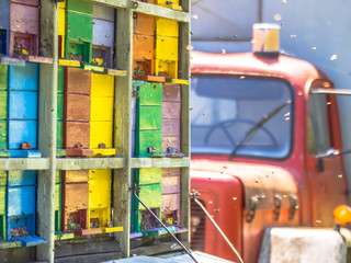 Detail Mobile beehive on lorry
