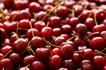 Closeup Background of red ripe cherries