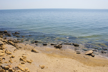 wild beach