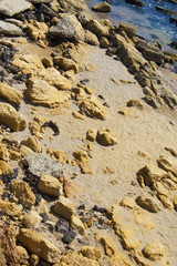 wild beach