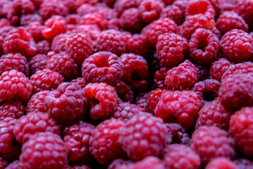 raspberry, fruit, berry, food, red, raspberries, ripe, sweet, fresh, healthy, berries, dessert, organic, freshness, delicious, closeup, natural, juicy, diet, nature, summer, vegetarian, color, fruits,