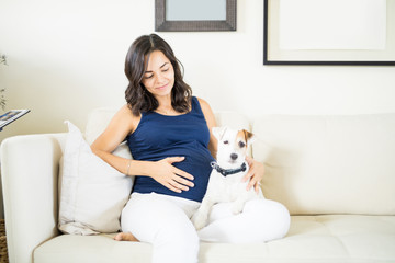Puppy Protecting Pregnant Woman Sitting On Sofa