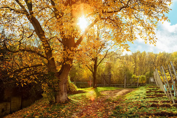 Beautufil autumn rural landscape