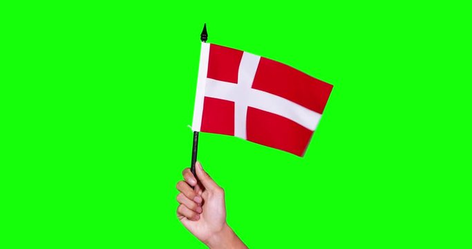 Hand holding Denmark flag on green screen background in the studio. Shot in 4k resolution