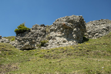 Large rock, with moss, on a field in Bucegi Mountains, Bucegi National Park, Romania