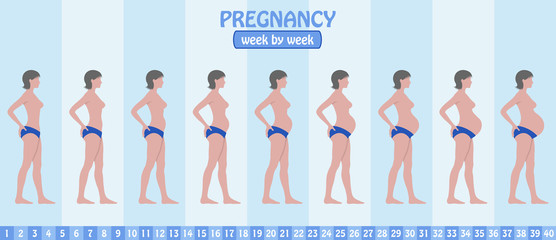 Week by week pregnancy stages of pregnant woman with pants