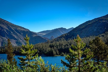 Trees frame a lake in the alpine area of Tioga Pass in Yosemite National Park in California.