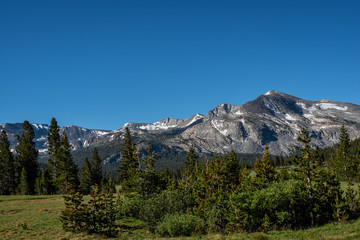 Alpine area of Tioga Pass in Yosemite National Park in California.