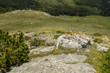 View of Bucegi Mountains, Bucegi National Park, Romania, clear blue sky, few clouds, sunny summer day, perfect for hiking