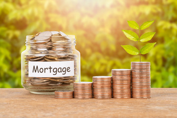 Coin stack, and money jar with leaves on white background saving concept