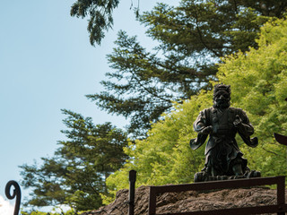 a Japanese goblin Tengu 天狗