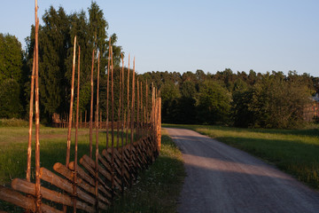 Fototapeta premium old fence