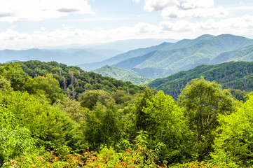 Obraz premium A Light Fog Hangs Over the Great Smokey Mountains National Park in North Carolina