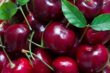 Close up of fresh cherry berries