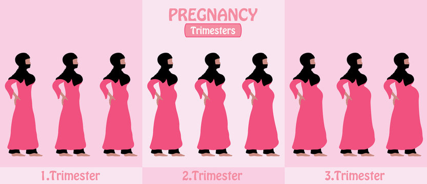 Pregnancy Trimesters of pregnant muslim woman with religious veil hijap