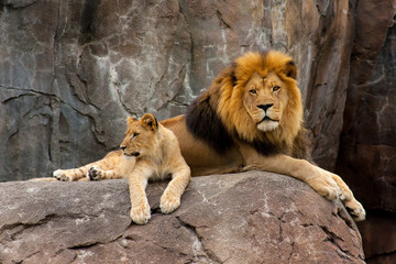 I've got my eyes on you