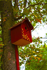 birdhouse on the tree
