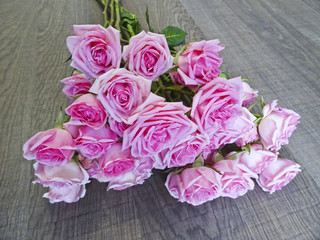 Branch of pink roses on a background of dark wood. Buds of pink roses. Macro.