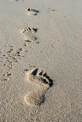 Footprints in the sand - Bahamas