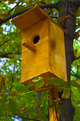 birdhouse on the tree