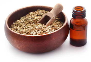 Fennel seeds with essential oil