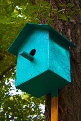 birdhouse on the tree