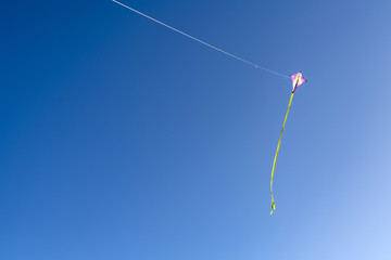 ein Pink Gelber  Drachen fliegt vor blauem Himmel