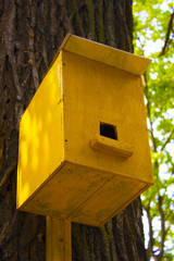 birdhouse on the tree