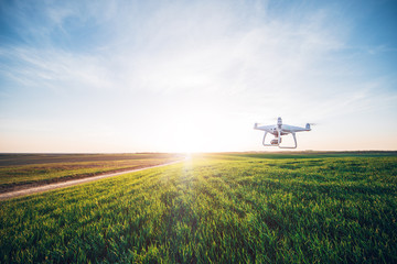 drone quad copter on green corn field