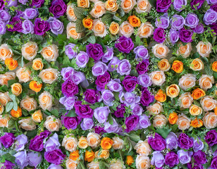 Violet and orange rose plastic flower background