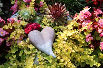 Dekoration Herz zwischen Pflanzen auf dem Friedhof 