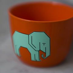 Orange plant pot with cute elephant sticker