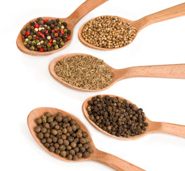 Spices in wooden spoons isolated on white