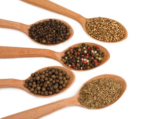 Spices in wooden spoons isolated on white