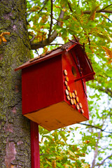 birdhouse on the tree