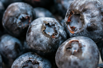 Blueberry with drops of water