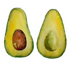 Watercolor sliced avocado isolated on a white background.