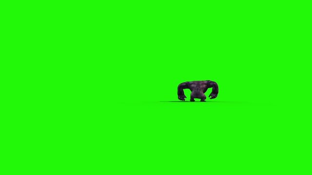 Gorilla Run Back Animals 3D Rendering Green Screen Animation
