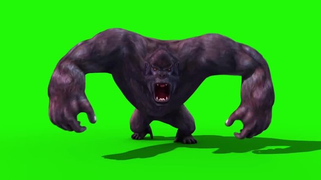 Gorilla Run Static Front Animals 3D Rendering Green Screen Animation