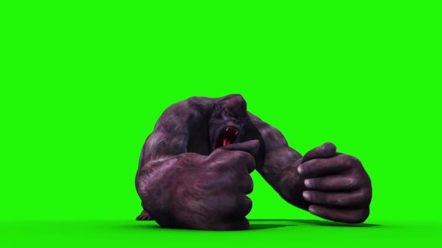 Gorilla Screams and Dies Front Animals 3D Rendering Green Screen Animation