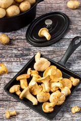 Fresh raw mushrooms chanterelle on a black cast-iron frying pan on an old wooden table.