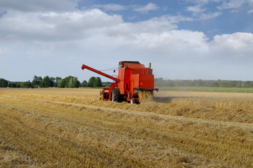 Fototapeta premium Combine-harvester