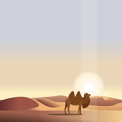Camel in the desert. Sunshine. Flat design. Vector illustration.