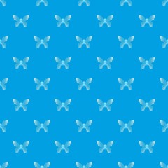 Fototapeta premium Butterfly with dot wings pattern vector seamless blue repeat for any use