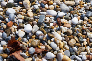 Pebbles on the beach as a natural background. 